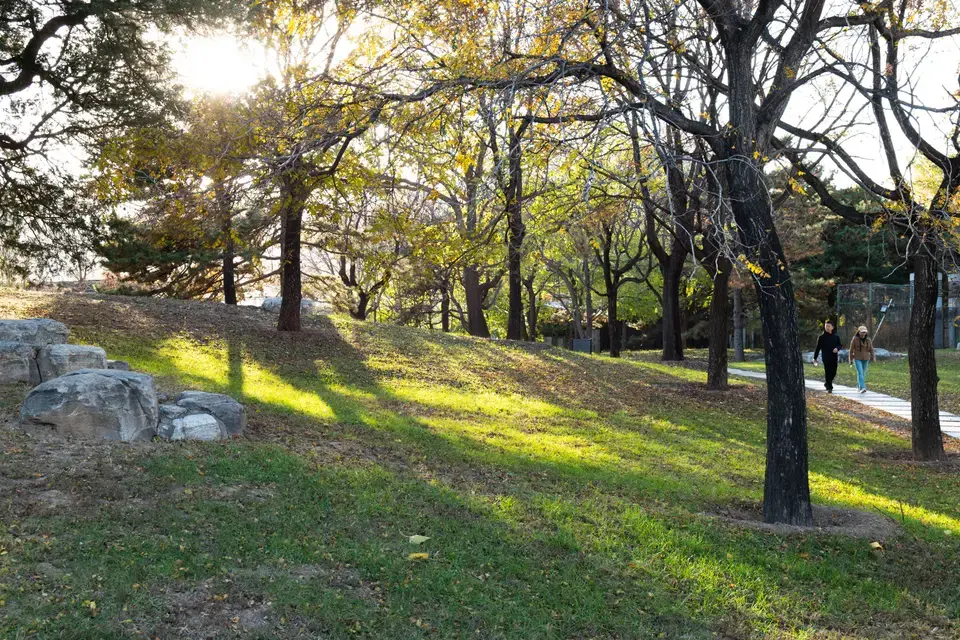 Serving the Lake Dunlap Waterfront & Surrounding Communities — Lake Dunlap, TX